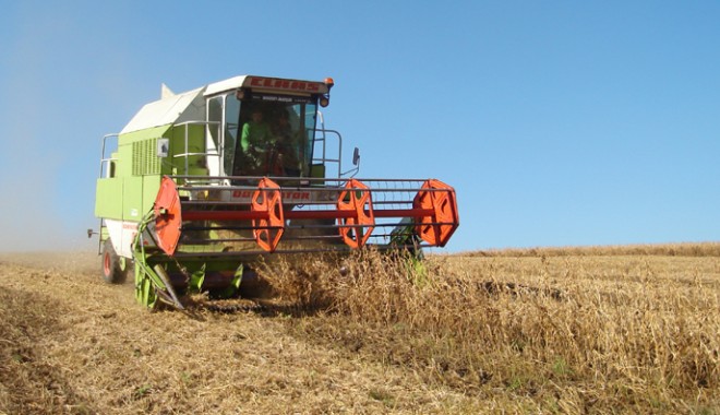 Producția agricolă a fost mai mare cu 24,5%, în 2013 - productiaagricola-1413481300.jpg