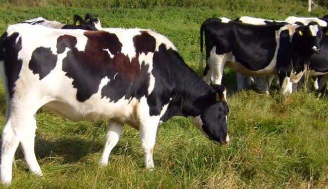 Producţia agricolă a scăzut, anul trecut, cu peste 15% - productiaagricola-1627408934.jpg