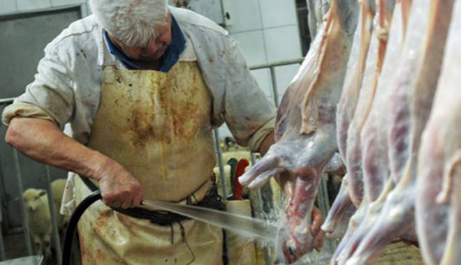 Producția de carne a scăzut dramatic - productiacarne-1421255652.jpg