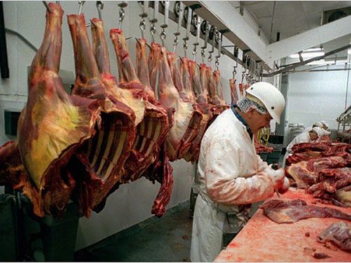 Iată cum a evoluat producția de carne în februarie 2018 - productiadecarne1004-1523360842.jpg