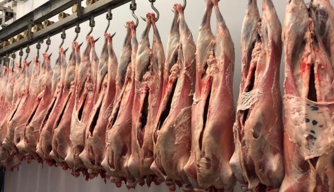 Producția de carne de porc, în scădere - productiadecarne1010-1665405550.jpg