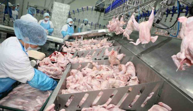 Doar producția de carne de pasăre este în creștere - productiadecarne1011-1668091290.jpg