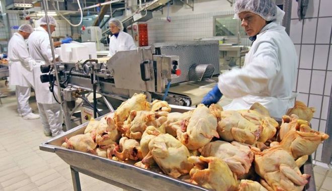 Producția de carne a scăzut îngrijorător - productiadecarneascazutingrijora-1557413727.jpg