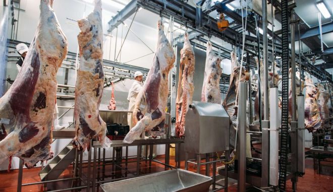 Producția de carne de oaie a explodat - productiadecarnedeoaieaexplodat-1525867518.jpg