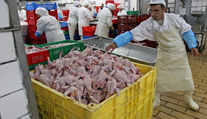 Specialiștii susțin că s-a diminuat producția de carne - productiadecarnesadiminuat-1633713883.jpg