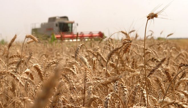 Producţia de cereale a României a scăzut în 2020 - productiadecerealeascazut-1617089132.jpg
