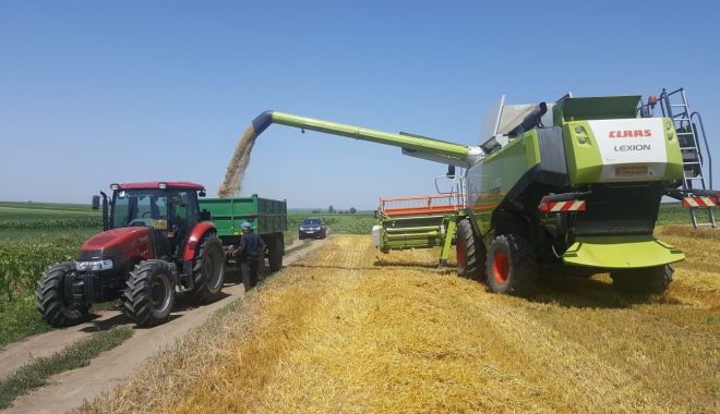 Producția de grâu a scăzut cu 15% – 18% față de anul 2021 - productiadegrauascazutcu1518-1660228799.jpg