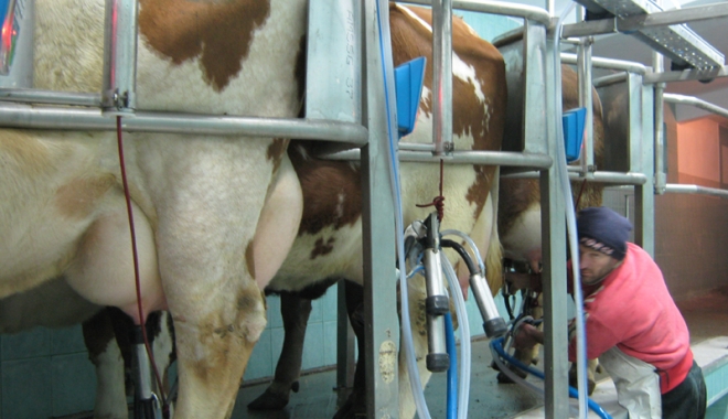 Importul de lapte crește mai repede decât producția internă - productiadelapte-1489331802.jpg