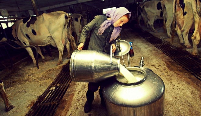 Producția de lapte crește, dar continuăm să importăm - productiadelapte1109-1505127491.jpg