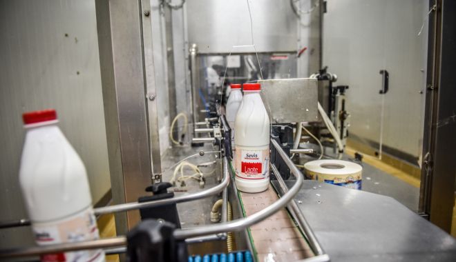 Producția de lapte s-a redus, iar importul a crescut - productiadelaptesaredusiarimport-1636644860.jpg