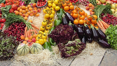 Sprijin alimentar din partea primăriei pentru nevoiașii din Năvodari - produseagroalimentare03755000-1317673601.jpg