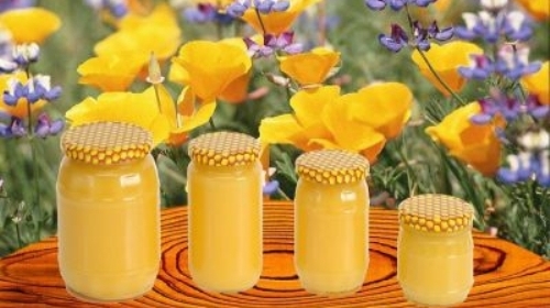 Produsele stupului în tratamentul afecțiunilor sistemului nervos - produseleapicole6-1327865199.jpg