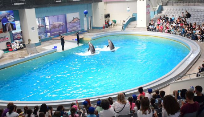 Tarife și program noi, la Delfinariu și Acvariu - program-1536163019.jpg