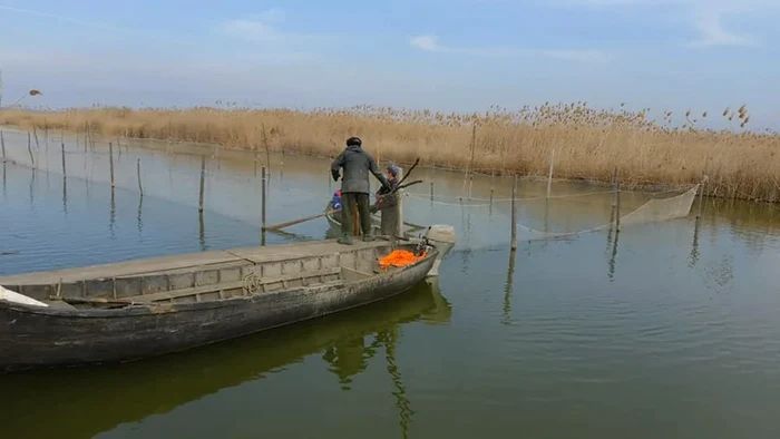 Atenție, pescari! Când începe prohibiția la știucă - prohibitie-1769845601.webp