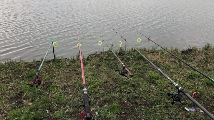 Foto - Veste bună pentru pescari! Prohibiția generală s-a încheiat, mai puțin la calcan