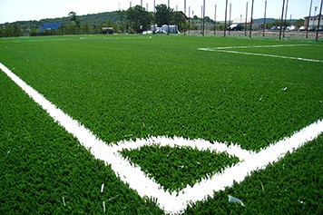 Fotbal: Grevă în Ecuador - proigal1274969008terenfotbalgazo-1406286495.jpg