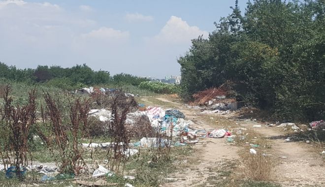 Proprietarii care nu îşi îngrijesc terenurile, somaţi de Primăria Constanţa - proprietariicare-1605260533.jpg