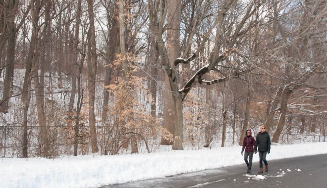 Meteorologii au actualizat prognoza meteo. Vreme atipică, în ianuarie 2023 - prospectparkwinterwalkmaryhautma-1672224929.jpg