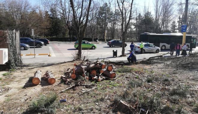 Constănțenii ies în stradă! Locatarii blocului S6 de pe bulevardul Lăpușneanu protestează împotriva distrugerii spațiilor verzi - protest-1551962605.jpg