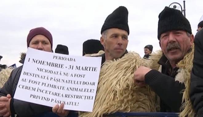 Ciobanii protestează în fața Parlamentului - protest61977500-1450174986.jpg