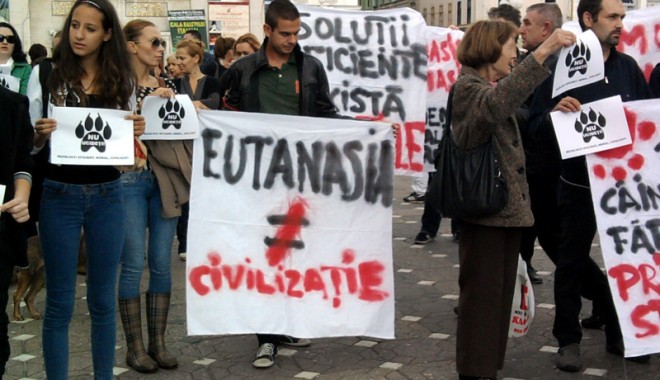 Protest împotriva eutanasierii câinilor maidanezi - protesteutanasiere-1394369120.jpg