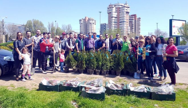 Social-democrații din Constanța au plantat arbuști în apropierea pasajului subteran de la Gară - psd1-1524396157.jpg
