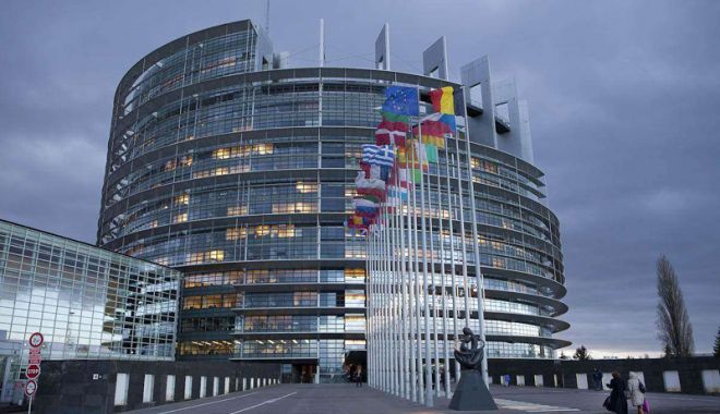Europarlamentarii PSD, la raport - psdbun-1533134914.jpg