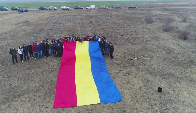 Tinerii din PSD Constanța au plantat 140 de copaci pentru a marca Ziua Dobrogei - psdtineri2-1542215767.jpg