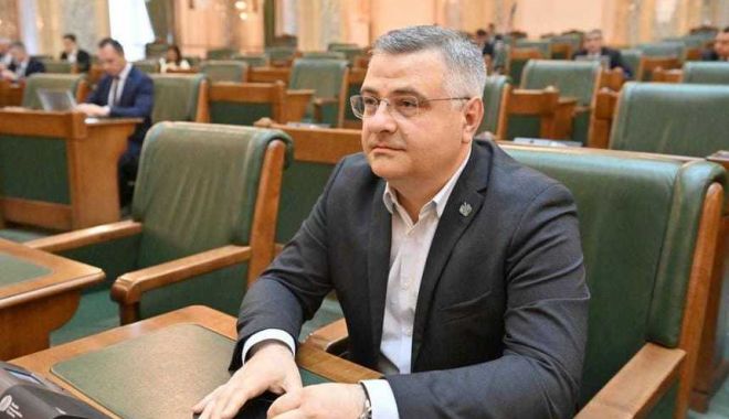 Liberalul Vlad Mircea Pufu, noul preşedinte al Comisiei pentru cultură şi media din Senat