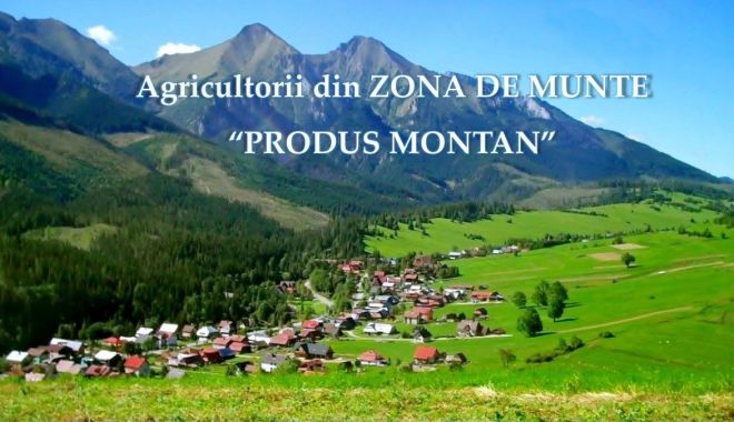 Pulsul economiei - pulsuleconomiei-1595770819.jpg