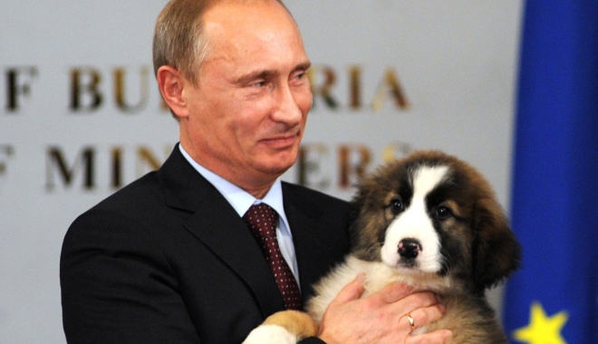 Putin a refuzat să primească câinele oferit cadou de guvernul Japoniei - putin-1481564279.jpg