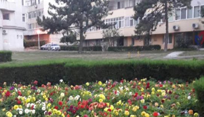 Fără blocuri turn pe spațiul verde din Tomis II. PUZ-ul a fost anulat definitiv - puzspatiuverde-1476894279.jpg