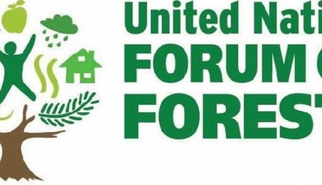 Radarul Pădurii din România, în atenția Forumului ONU pentru păduri - radarulpadurii-1432633569.jpg