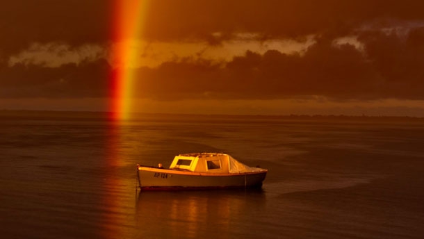 FOTO Uimitoarea reușită a unui fotograf amator - rainbowimage15503519014278000-1322145828.jpg