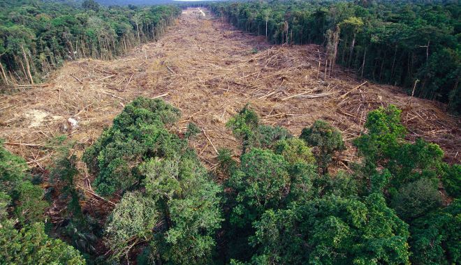 Pandemia accelerează distrugerea pădurilor tropicale - rainforestdeforestation1550x804-1590083881.jpg