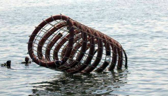 Recifele artificiale prind viață în Marea Neagră - recife-1435687546.jpg
