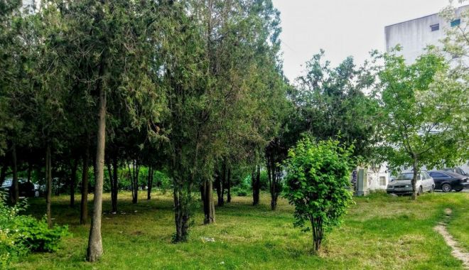 Regulamentul spaţiilor verzi din Constanţa, în dezbatere publică - regulamentul-1610390823.jpg