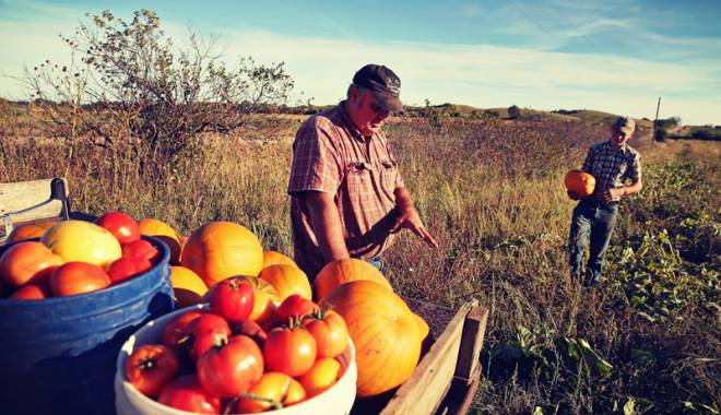 Reguli noi pentru promovarea produselor agricole - regulinoi-1454941462.jpg