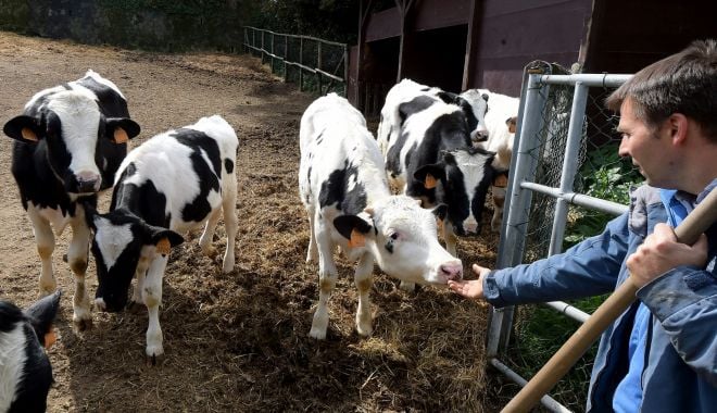 Reguli noi pentru crescătorii de animale, dacă vor fonduri europene - regulinoi-1630249197.jpg