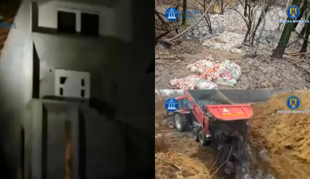 Şase tone de resturi animale de la două abatoare, aruncate ilegal într-un pârâu - resturi-1766063081.webp