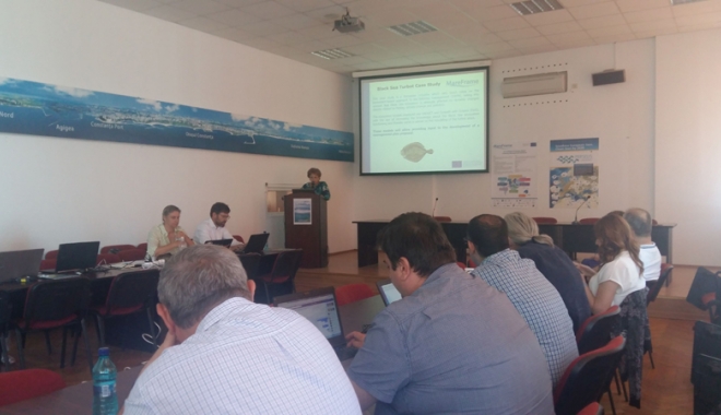 Resursele de pește din Marea Neagră, în atenția biologilor - resurseledepeste-1497370539.jpg