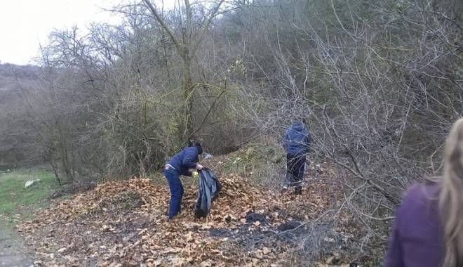 Rezervația Fântânița, ecologizată de liceenii din Murfatlar - rezervatiafantanita1-1417444092.jpg