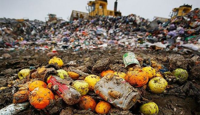 Proiectul privind diminuarea risipei alimentare, adoptat - risipa-alimentara-1708438379.jpg