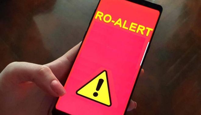 Un cetăţean a anunţat la 112 că a văzut un LEU, LIBER PE STRADĂ. A fost emis mesaj RO-ALERT - roaler-1652344608.jpg
