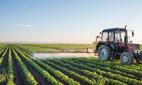 România prezidează Convenția Internațională pentru Protecția Plantelor - romanaprezideazaconventia-1551302181.jpg