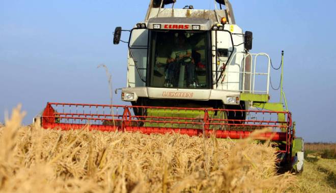 România urcă în topurile agricole europene - romania-1428247490.jpg