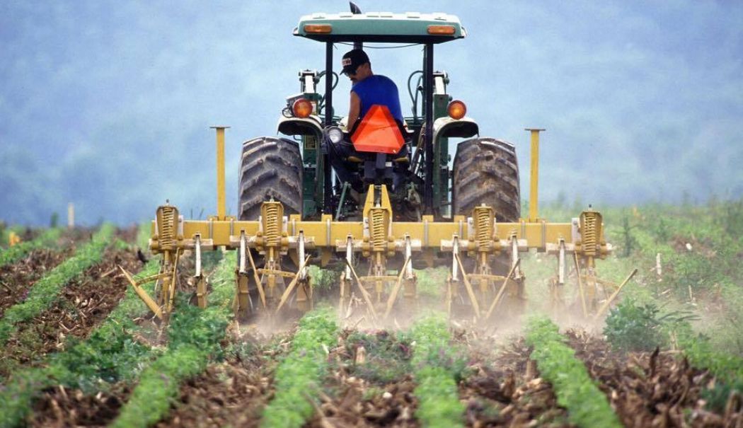 România a primit banii pentru subvențiile fermierilor - romania-a-primit-banii-1736700499.jpg