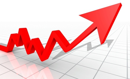 Rata creditelor neperformante a urcat la 20,30% - romaniaaavutcrestereeconomicainp-1377522754.jpg