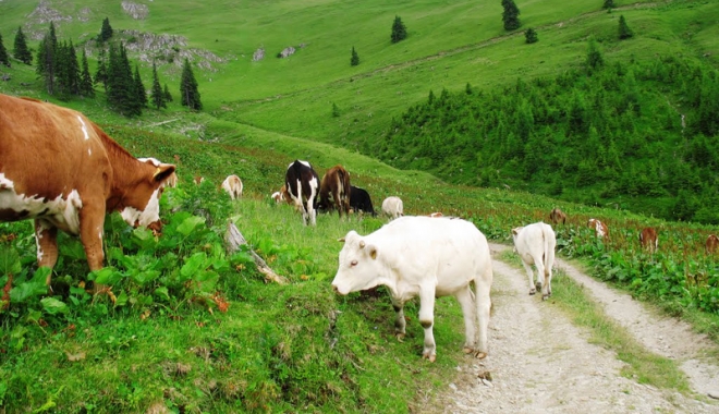 România se confruntă  cu două amenințări foarte grave - romaniaamenintata-1472990657.jpg