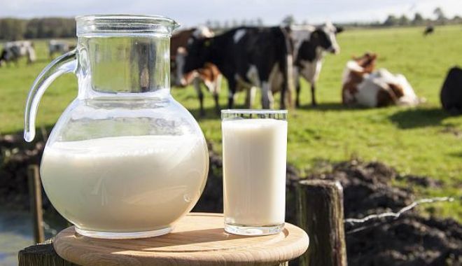România a produs mai mult lapte și a importat mai puțin, în 2021 - romaniaaprodusmaimultlapte-1631552598.jpg